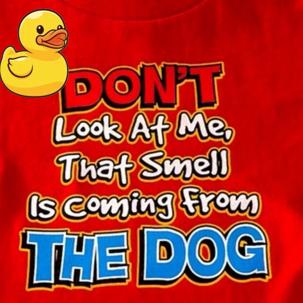 👶👦🧒Silly BRAND NEW Toddler Tee 🐶
